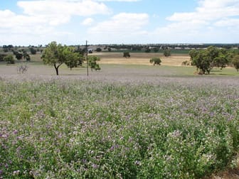 14370 Dukes Highway Keith SA 5267 - Image 2