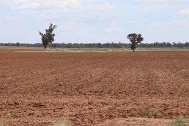 523 Norris Lane West Wyalong NSW 2671 - Image 2