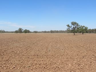 "Cardew" 3349 Collie Road Dubbo NSW 2830 - Image 3