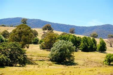 301 Egan Lane Sandy Creek VIC 3695 - Image 3
