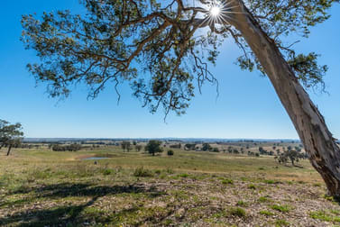 Molong NSW 2866 - Image 3
