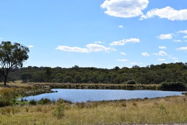1166 Kingstown Road Uralla NSW 2358 - Image 1