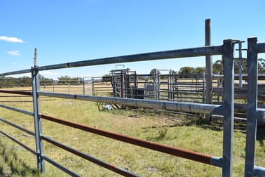 1166 Kingstown Road Uralla NSW 2358 - Image 3