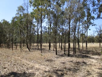 LOT 11 MONTROSE ROAD Tara QLD 4421 - Image 2