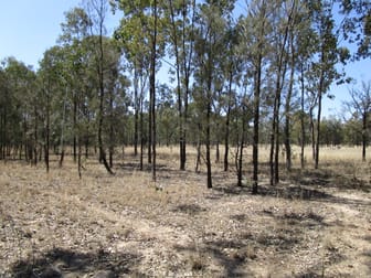 LOT 11 MONTROSE ROAD Tara QLD 4421 - Image 3