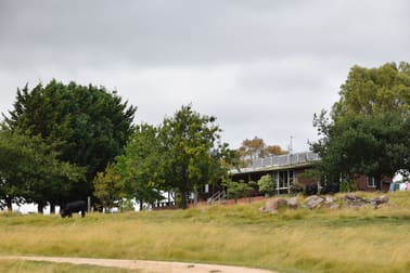 1259 Black Swamp Road Tenterfield NSW 2372 - Image 1