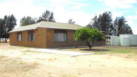 345 Campbells Road Mayrung NSW 2710 - Image 1
