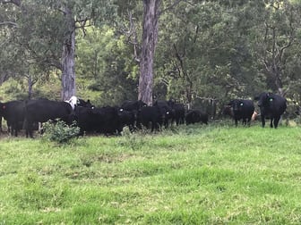 Click to view all images Rivertree NSW 2372 - Image 1