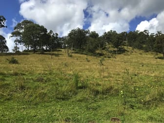 Click to view all images Rivertree NSW 2372 - Image 2