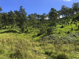 Click to view all images Rivertree NSW 2372 - Image 3