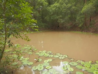 Click to view all images Lot 2/1534 Paddys Flat Rd Tabulam NSW 2469 - Image 2