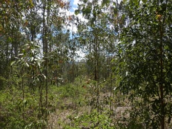 Click to view all images Lot 2/1534 Paddys Flat Rd Tabulam NSW 2469 - Image 3