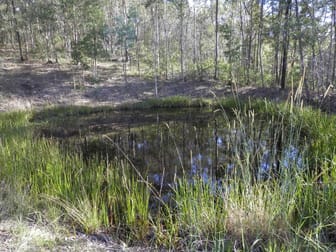 342 North Ewingar Rd Ewingar NSW 2469 - Image 2