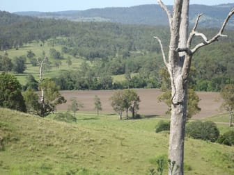 2914 Sextonville Rd Woolners Arm NSW 2470 - Image 2