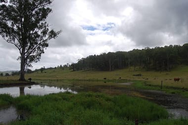 2914 Sextonville Rd Woolners Arm NSW 2470 - Image 3