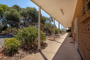 35 Hannan Street Eudunda SA 5374 - Image 2
