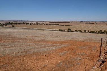 35 Hannan Street Eudunda SA 5374 - Image 3