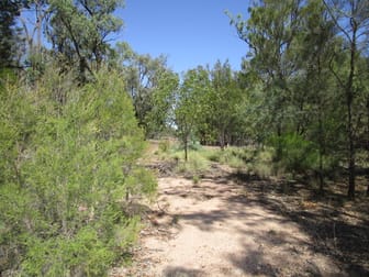 LOT 353 BUTTERFLY ROAD Tara QLD 4421 - Image 2