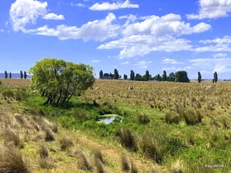 5625 Kings Highway Braidwood NSW 2622 - Image 1