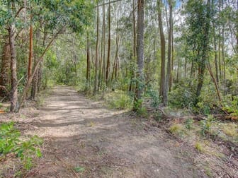 Lots 63, 144/145, 153, 154 & 173 Mount Scanzi Road Kangaroo Valley NSW 2577 - Image 3