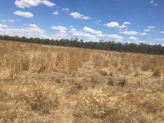 Click to view all images Lot 8 Bolangum Inn Road Kanya VIC 3387 - Image 1