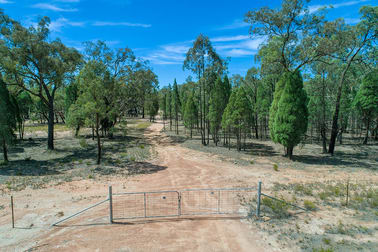 231 Springwood Park Road Gulgong NSW 2852 - Image 1