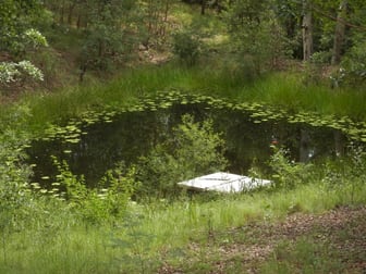 629 North Ewingar Rd Ewingar NSW 2469 - Image 3