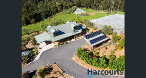 55 Mylrea Road Jindivick VIC 3818 - Image 3