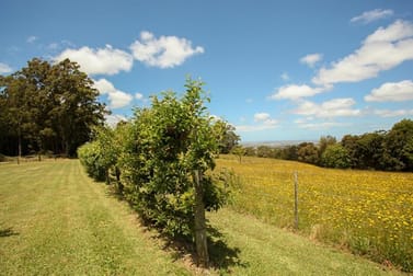 925 Tarra Valley Road Devon North VIC 3971 - Image 1