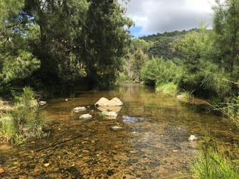 Rivertree NSW 2372 - Image 1
