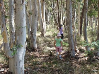 Click to view all images 2 Kjoller Rd Clergate NSW 2800 - Image 2