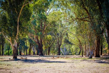 387 Ravenswood Road Holbrook NSW 2644 - Image 2