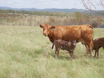 Click to view all images 324 ACRES GRAZING Nutgrove QLD 4352 - Image 2