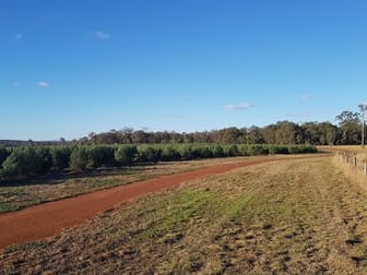 Kingaroy QLD 4610 - Image 1