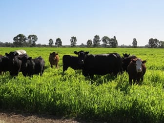 73 Maws Road Deniliquin NSW 2710 - Image 2