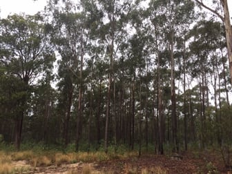 Camira NSW 2469 - Image 3