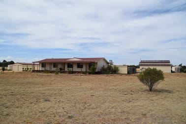 Jacaranda Flats, 5940 Newell Highway Gilgandra NSW 2827 - Image 1