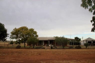 Suntop NSW 2820 - Image 3