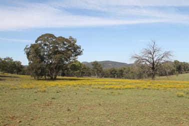 4066 Bylong Valley Way Rylstone NSW 2849 - Image 3