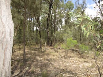 LOT 195 MYRA ROAD Tara QLD 4421 - Image 1