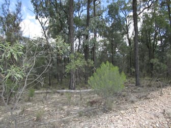 LOT 195 MYRA ROAD Tara QLD 4421 - Image 2