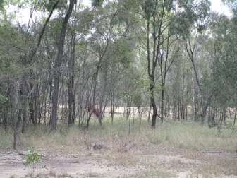 LOT 195 MYRA ROAD Tara QLD 4421 - Image 3