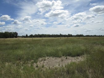 LOT 146 KOFOEDS ROAD Tara QLD 4421 - Image 2