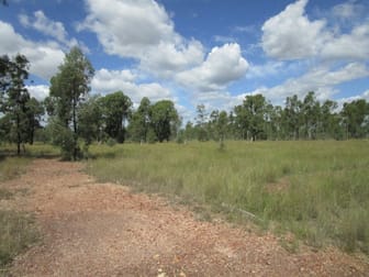 LOT 122 KOFOEDS ROAD Tara QLD 4421 - Image 2