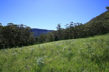 24 Treefern Road Kangaroo Valley NSW 2577 - Image 3