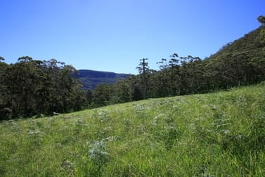 24 Treefern Road Kangaroo Valley NSW 2577 - Image 3