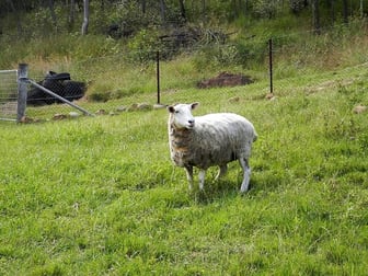 Tabulam NSW 2469 - Image 1