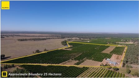 Farm 1572 42 Stannard Road Cudgel NSW 2700 - Image 1
