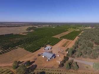 Farm 1572 42 Stannard Road Cudgel NSW 2700 - Image 2