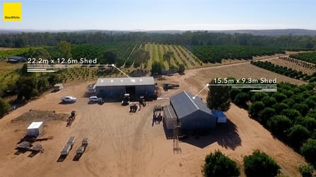 Farm 1572 42 Stannard Road Cudgel NSW 2700 - Image 3